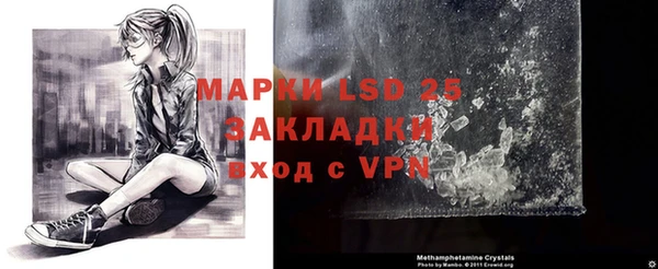 спиды Абаза